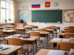 Школы Воронежа перевели на удаленку из-за мороза 