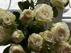 Без интима, но с букетом: необычную услугу предложили жительницам Воронежа на 8 марта