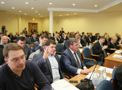 Следующая гордума Воронежа может быть избрана по смешанной системе - партспискам и одномандатным округам