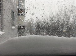 Резкое похолодание к началу марта прогнозируют воронежские метеорологи