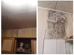 Крик женщины, уставшей жить в чёрной плесени, услышали воронежские следователи 