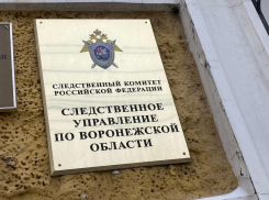 После появления видео с перелезающими забор детьми по пути в школу следователи проведут проверку в Воронеже