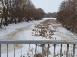 Минприроды выявило незаконные постройки в зоне подтопления Усмани в Воронежской области