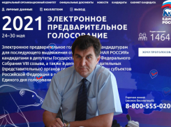 Управа Железнодорожного района Воронежа отдалась во имя праймериз «Единой России»