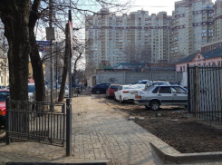 В колхоз превратили центр Воронежа любители экономить