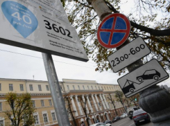 Концессионера платных парковок проверят в Воронеже на честность