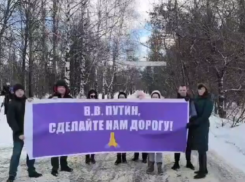 После жалобы к Путину мэр пообещал воронежцам новую дорогу,  но не сразу  