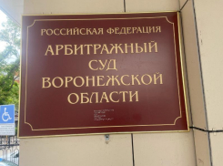  Продавцу китайского кроссовера не удалось «выбить» дополнительные деньги с воронежских чиновников