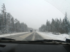 В Воронежской области пешеход переходил дорогу в неположенном месте и попал под колеса