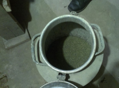 В Воронеже мужчина изготовил более 2-х килограммов марихуаны