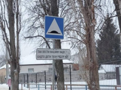 Знак с важным напоминанем показали на фото жители Воронежа