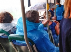 Поездка в воронежском автобусе обернулась водным испытанием
