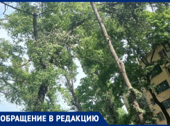 Опасность продолжает нависать над воронежцами во дворе с проткнутой машиной 