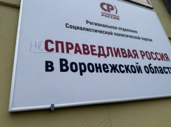 Воронежские партии забегали по городу перед новым созывом Госдумы