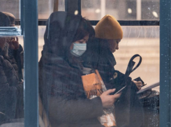 Воронежцы высказали социологам свое отношение к спецоперации на Украине