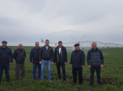 Долгожданная вода пришла на поля Россошанского района 