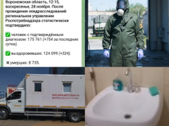 Коронавирус в Воронеже 28 ноября: +754 больных, ледяная вода в детской инфекционке и снижение темпов вакцинации 