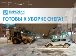 Воронежцы утопили «Горпарковки» неудобными вопросами в отместку за снег