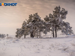 Охранные границы древнего курганного могильника утвердили в Воронежской области
