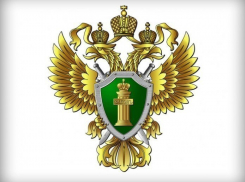 В закон «Об исполнительном производстве» внесены изменения