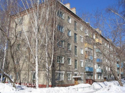 В Воронеже суд признал виновной управляющую компанию, из-за которой в доме развелись мыши и крысы 