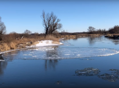 Редкую «лунную льдину» удалось снять на реке Воронеж