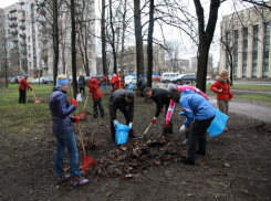 Воронежцев призывают выйти на уборку улиц