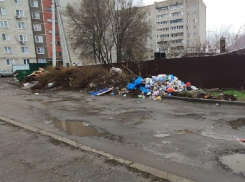 Помойный холм с расплодившимися мухами держит воронежцев в заложниках