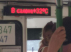 Душегубка: парилку на колесах устроили воронежцам на фоне повышения проезда