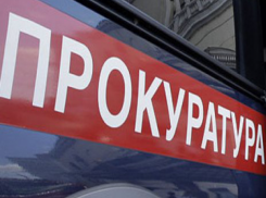 В Воронеже незаконно оформила в собственность землю стоимостью в 1 миллион рублей