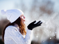 Теплую зиму спрогнозировали синоптики в Воронеже 