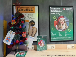 Новогодняя акция от «Пятёрочки» и Банка еды «Русь»