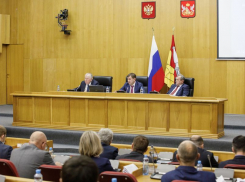 Воронежская облдума вновь проголосовала за введение QR-кодов в общественных местах