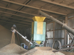 В Воронежской области Верхнехавский элеватор хранил зерно в плохих условиях