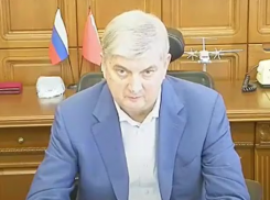 Губернатор Воронежской области призвал внимательно смотреть, не пользуется ли кто-то локдауном в корыстных целях