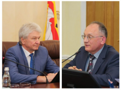 Кто и как «пилил» леса под застройку в Воронеже