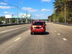 Самую неуверенную в себе «Ладу» нашли в Воронеже 