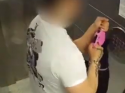 Чудовищное издевательство над собакой проверяет полиция в Воронеже 