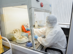 Зафиксирован новый рекорд по числу заболевших COVID-19 в Воронежской области