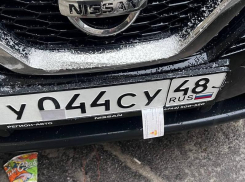 Правительственной визиткой прикрыли номера от штрафов в Воронеже 