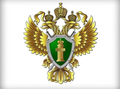 Как воронежцам уберечься от мошенничества