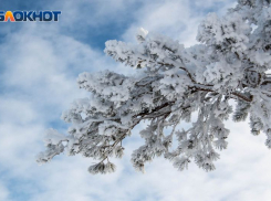 Легкий мороз и снег с дождем ожидают воронежцев на Рождество Христово