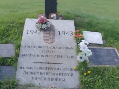 Раболепную надпись на кладбище венгерских захватчиков сняли на видео под Воронежем