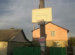 Бюджетный вариант корзины для баскетбола нашли в центре Воронежа