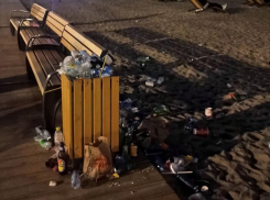 «Парад» грязных мусорок заметили на Петровской набережной в Воронеже