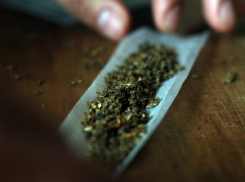 Воронежский автоинструктор и массажист задержаны с наркотиками 