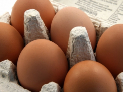 В Воронеже яйца дорожают вместе с комбикормом