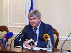 «Александру Гусеву стоит чаще появляться перед журналистами»: что сказали о пресс-конференции мэра Воронежа в политических кругах
