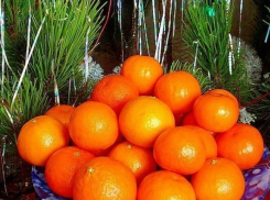 В Воронеже перед Новым годом проверяют торговые точки, где продают цитрусовые