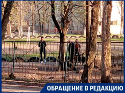 На собачью осаду школы пожаловались воронежцы 